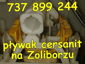 pływak cersanit na Zoliborzu